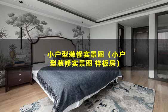 小户型装修实景图（小户型装修实景图 样板房）